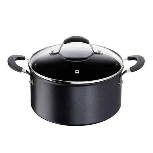 Lagostina Aluminium kookpot van 20 cm met deksel